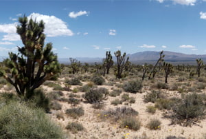 El desierto de Mojave en moto