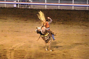 Deporte, espectáculo y  demostración de habilitades profesionales: el Rodeo