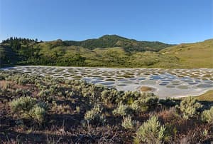 Spotted Lake - una curiosidad natural