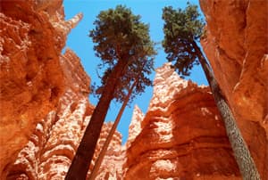El fascinante parque nacional Bryce Canyon
