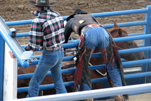 En Wyoming asistiremos a un rodeo espectacular