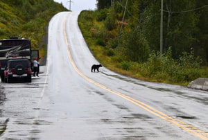 En carretera por Canadá