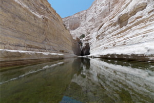 Paisajes extremos en el desierto de Israel