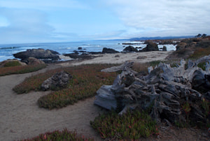 La costa salvaje de Oregón