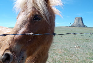 Devils Tower Wyoming, Ruta Costa a Costa